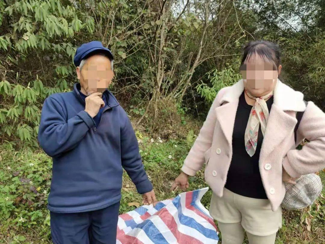 广西桂平新闻最新资讯及阅读指南，适合初学者与进阶用户