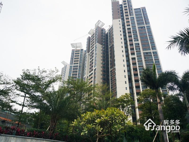 金名都最新房价，探索自然美景，寻找内心平和与宁静的旅程