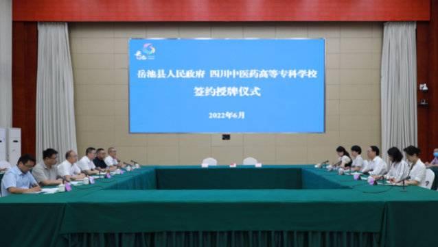 岳池政府最新动态，科技智能点亮未来生活