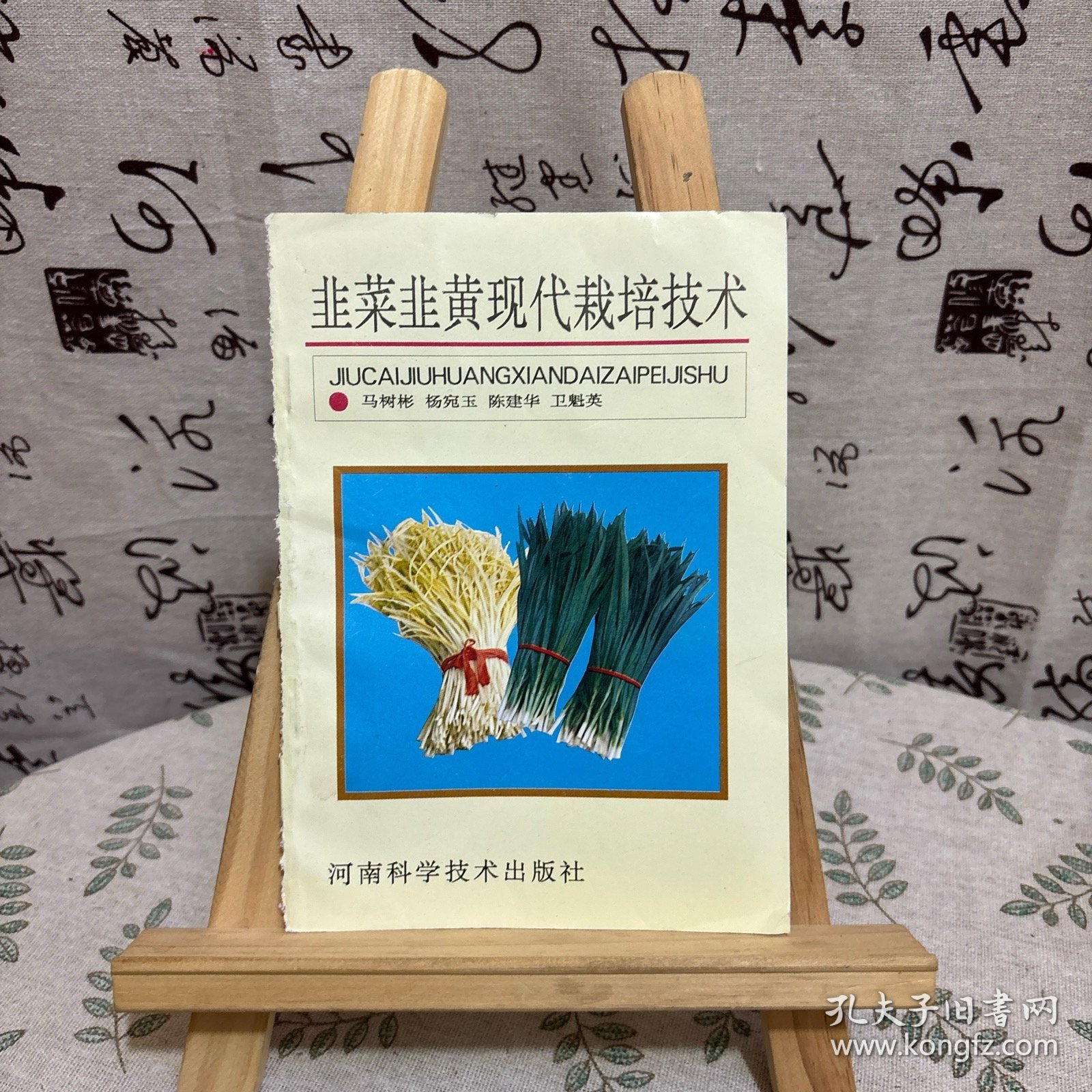 最新韭黄种植技术视频教程，开启绿色财富之门